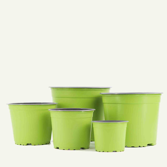 Green nursery pot