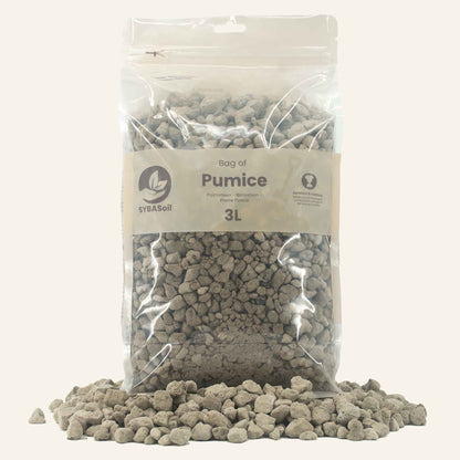 Pumice